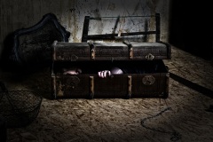 cladi_halloween_0002